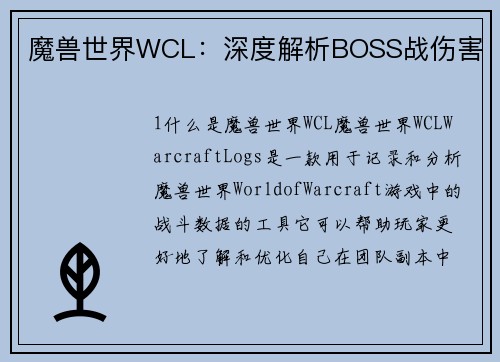 魔兽世界WCL：深度解析BOSS战伤害